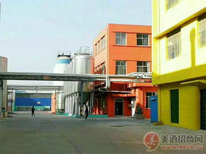 酒類經(jīng)營的多元路徑 從啤酒廠家到代理與代加工