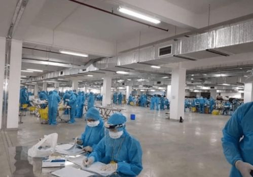 越南疫情警示 工廠聚集感染、瞞報(bào)與關(guān)聯(lián)行業(yè)的風(fēng)險(xiǎn)連鎖反應(yīng)